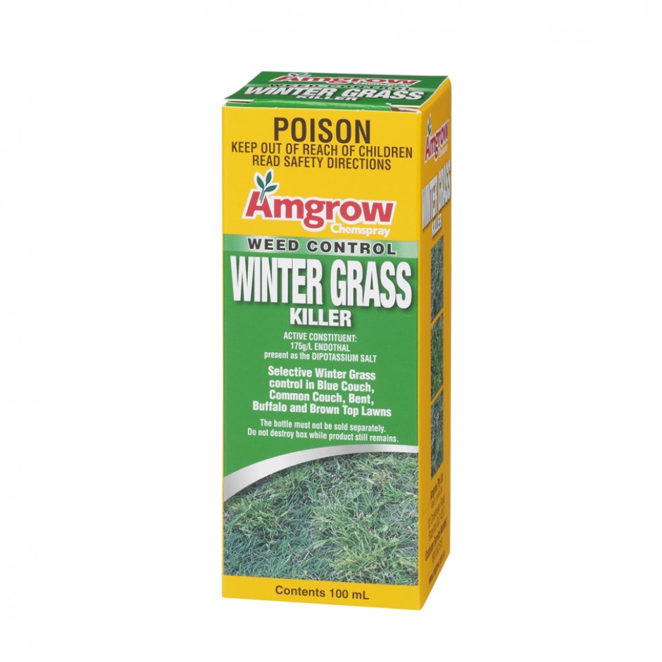 Amgrow Winter Grass Killer 100mL 