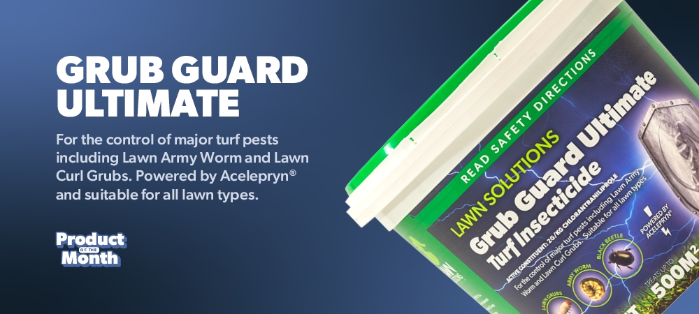 stop lawn grub