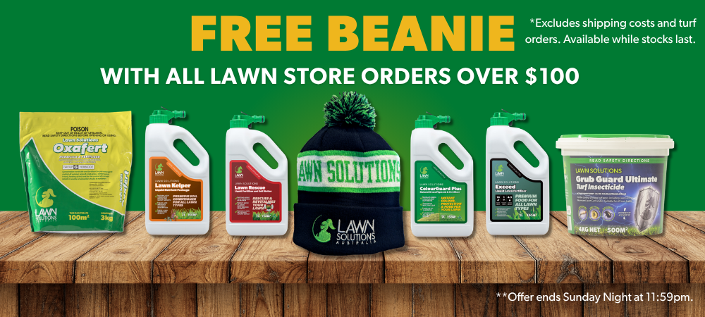 beanie promo lawn store