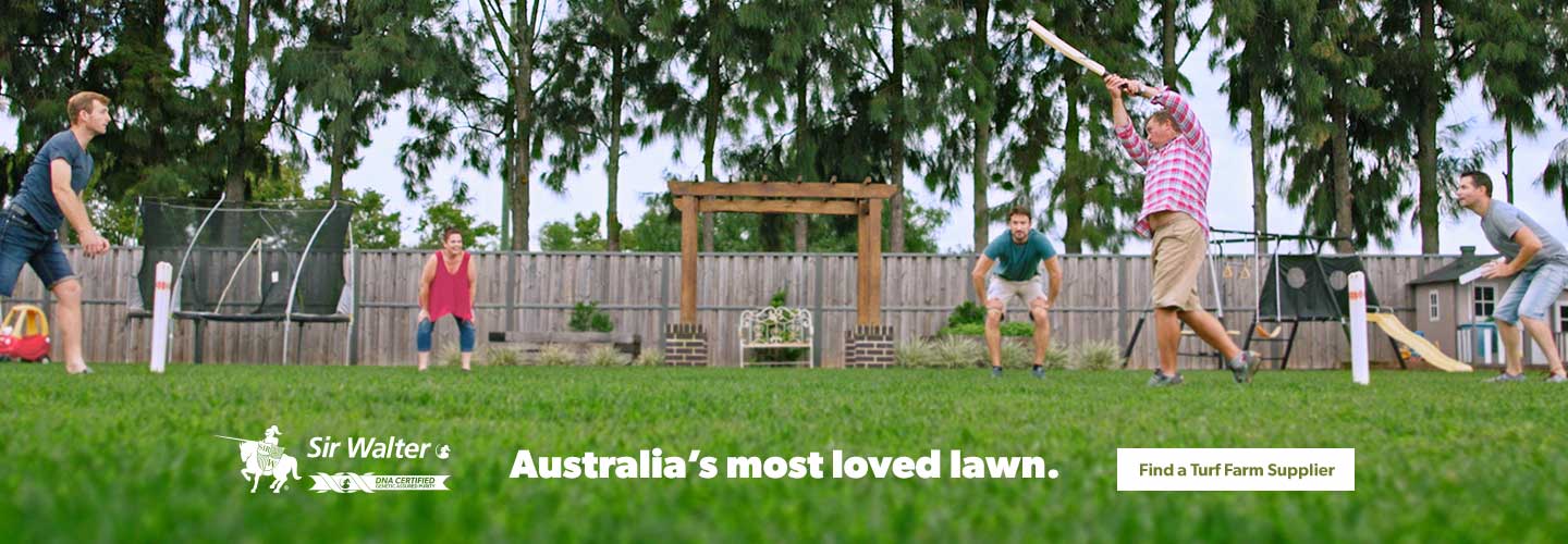 Sir-walter-grass-types-page - Lawn Solutions Australia