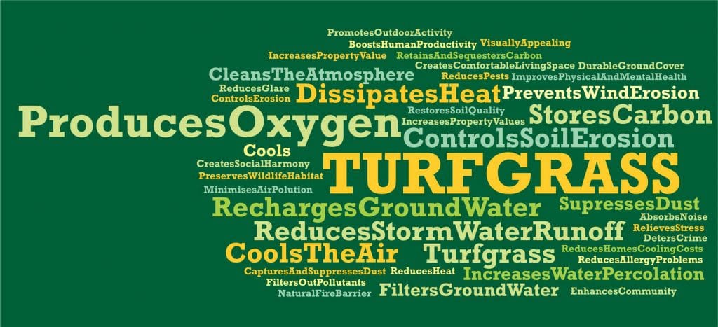 turf economics 