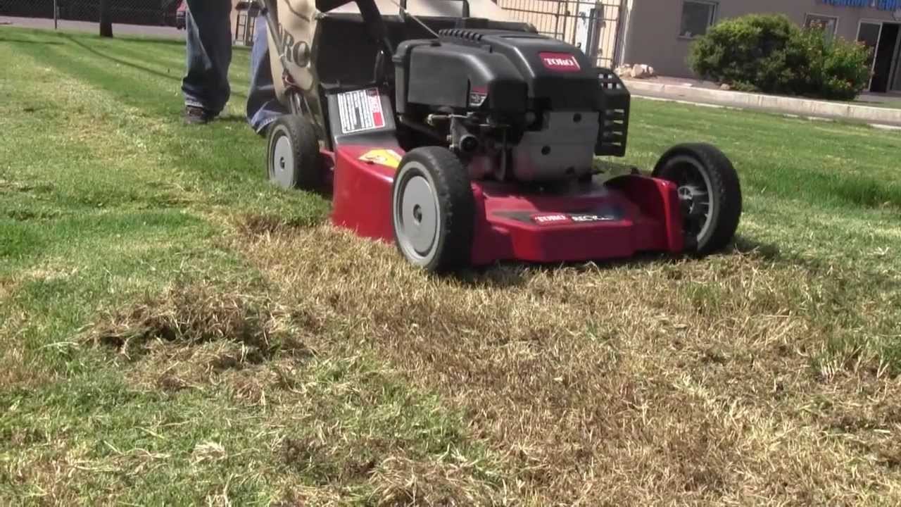 scalping lawn