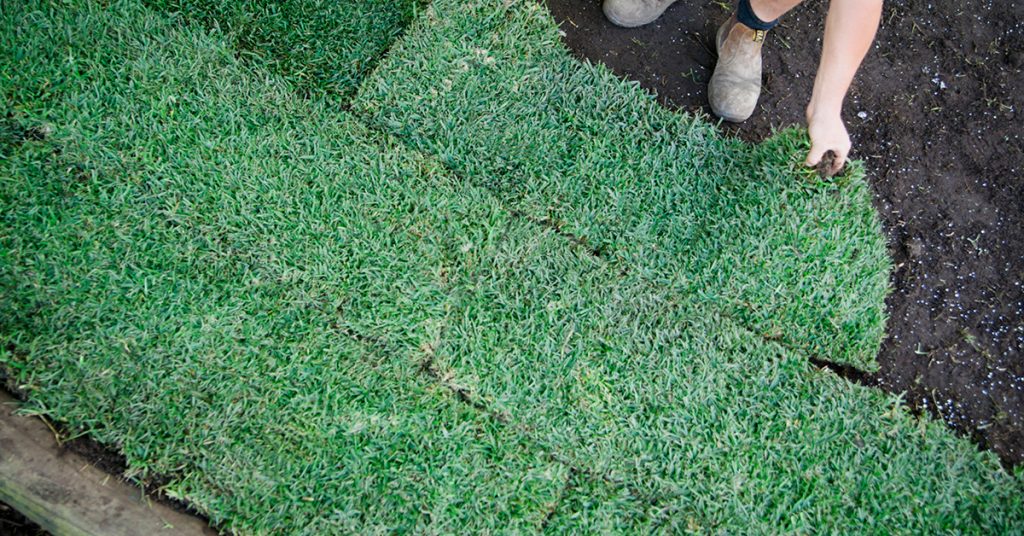 laying turf