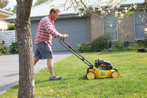 Lawn Mowing Getting the Basics Right