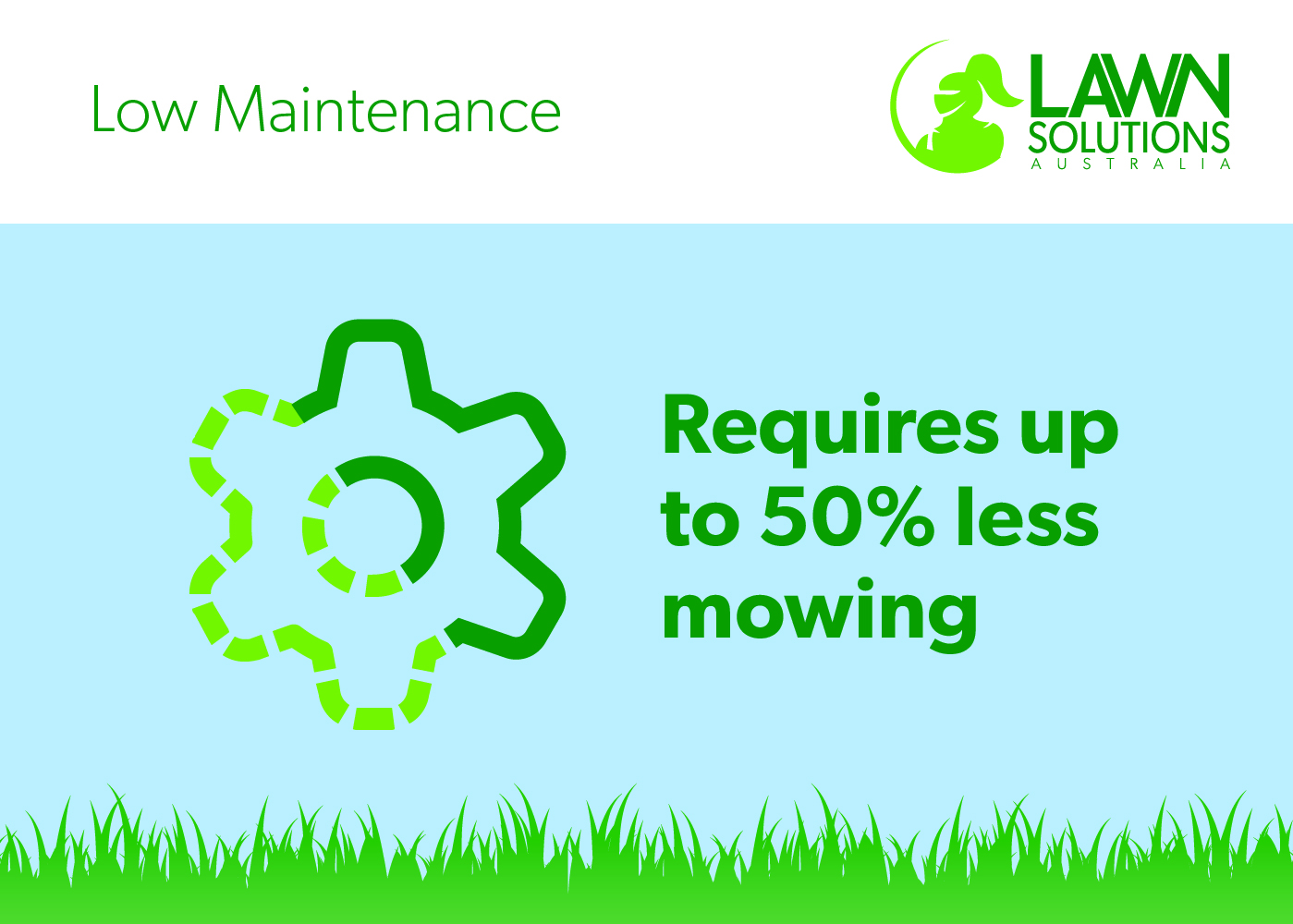 Low maintenance lawn grass in Australia