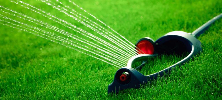 Troubleshooting Lawn Problems - Lawn Solutions Australia