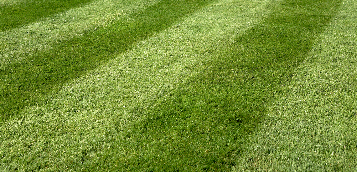 Lawn Artistry | Creating Mosaic Patterns with Grass - Lawn Solutions ...