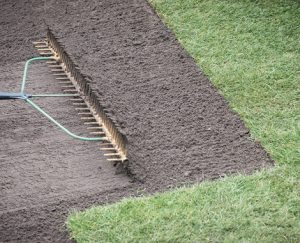 best soil for turf