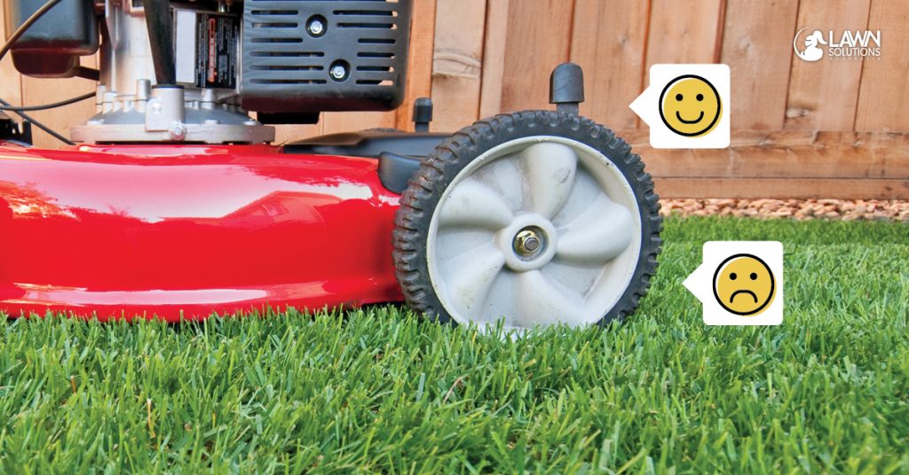 Best mower best sale for buffalo grass