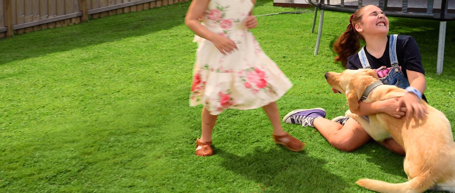 Beware Plants That Can Hurt Your Dog Lawn Solutions Australia