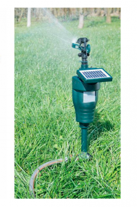 motion activated sprinkler