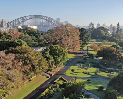 10-Year Anniversary 'Into the Park' at Southbank Parklands - Lawn Solutions  Australia