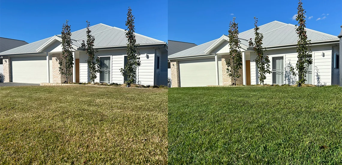 A Pro's Guide to Turf Pigmentation | ColourGuard Plus - Lawn Solutions ...