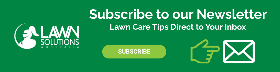 lawn solutions newsletter