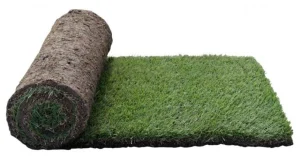 fresh instant turf