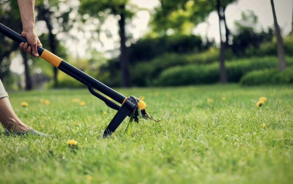 weed puller