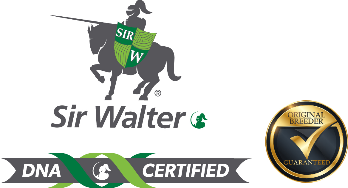 sir walter dna certified