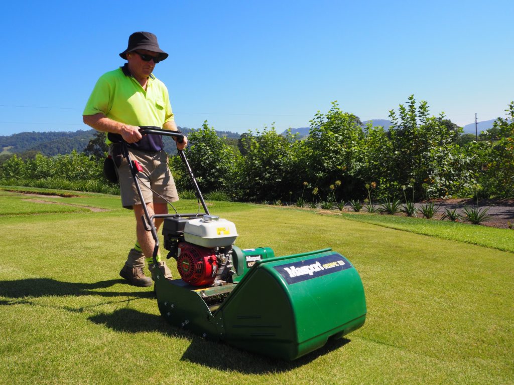 cylinder mower