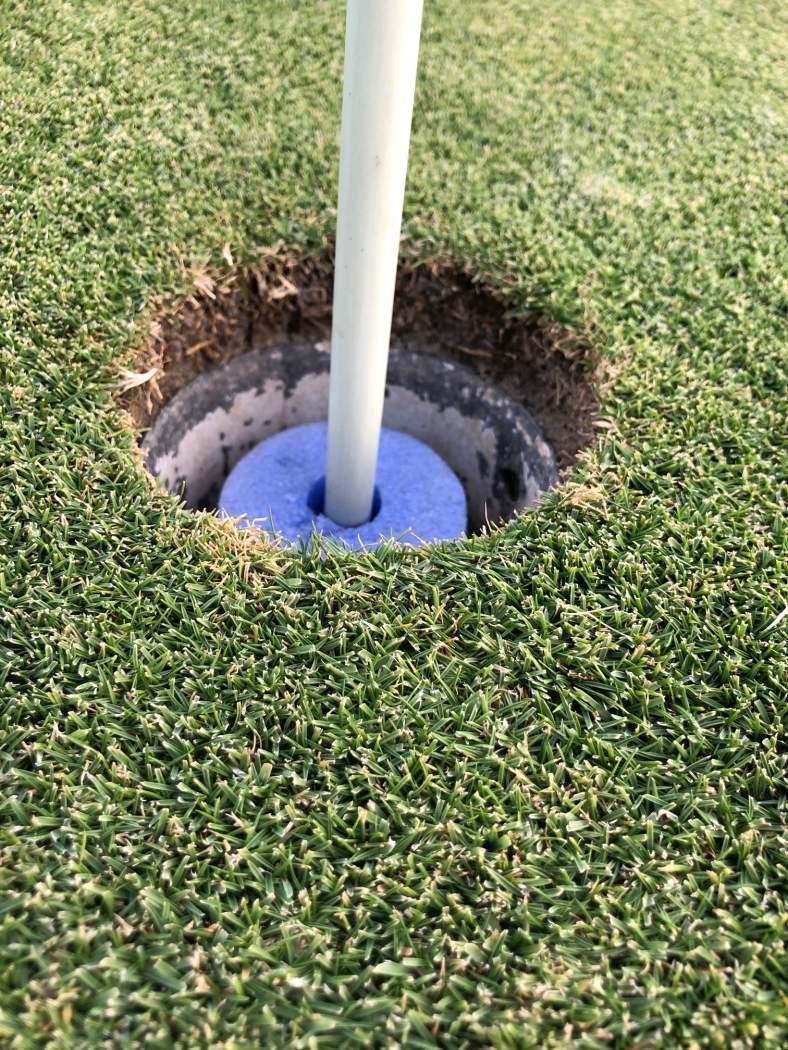 How to Create a Home Putting Green Lawn Solutions Australia