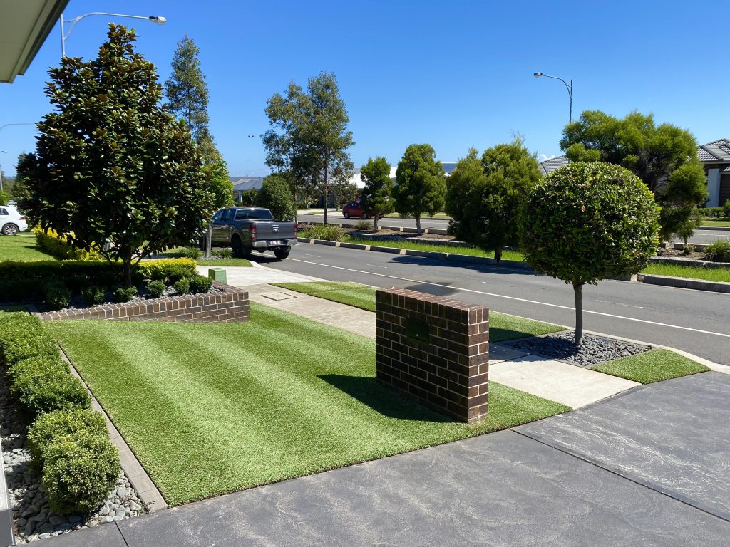 sir walter front lawn