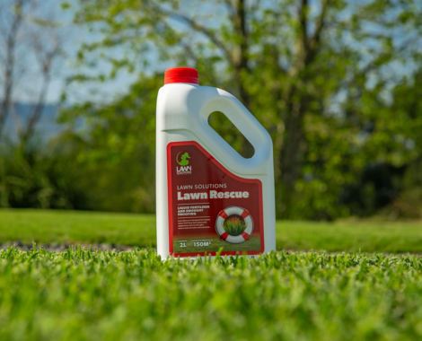 Lawn Solutions Lawn Rescue