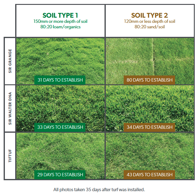 best soil for new turf