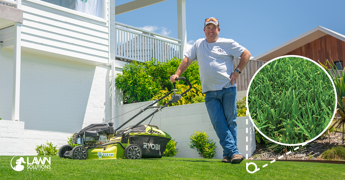 What is the Best Couch Grass? Lawn Solutions Australia