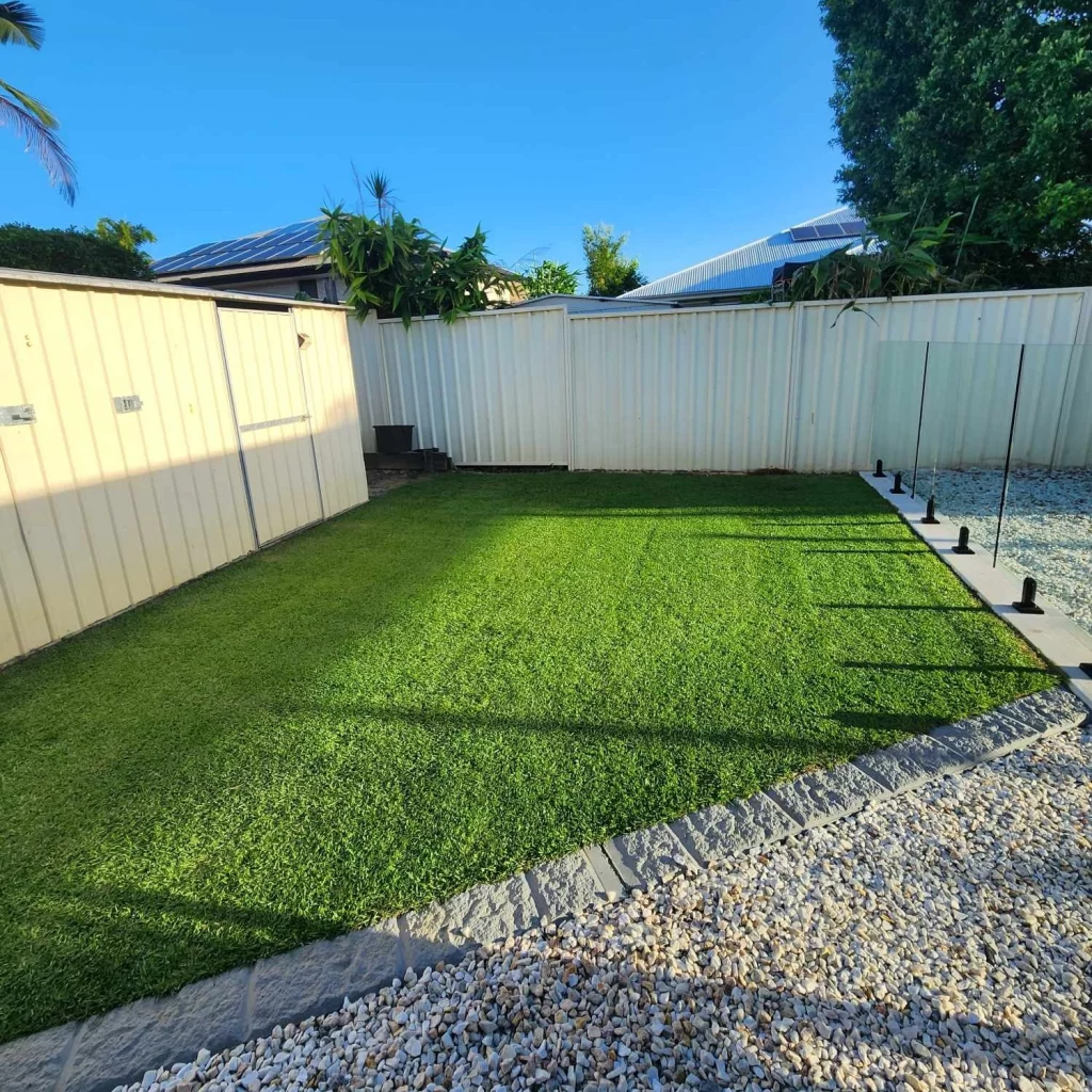 zoysia australis lawn