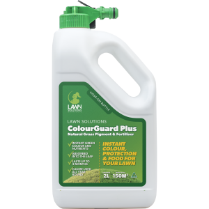 What Does Iron Do for Lawns? - Lawn Solutions Australia