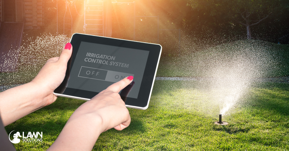 Smart Irrigation Systems Lawn Solutions Australia