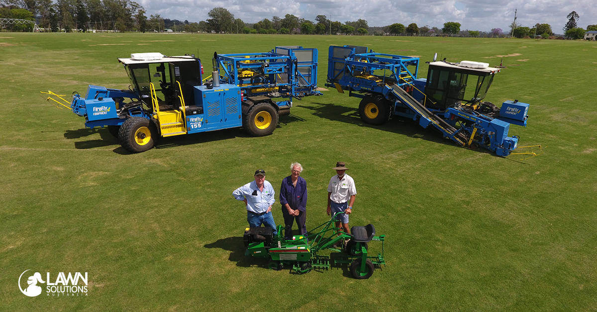 Jimboomba Turf From Sheep and Cattle to Leading Turf Suppliers Lawn