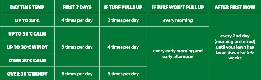 watering new turf guide