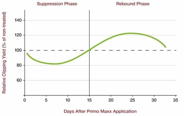 Syngenta Primo Maxx