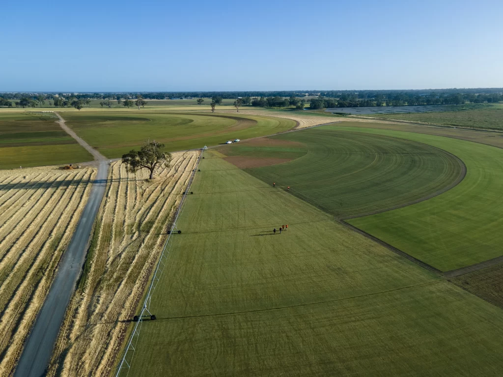 ausgap turf farm inspection