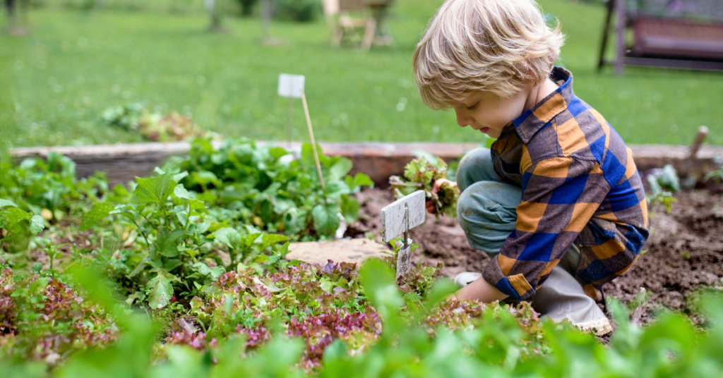 Kid gardening