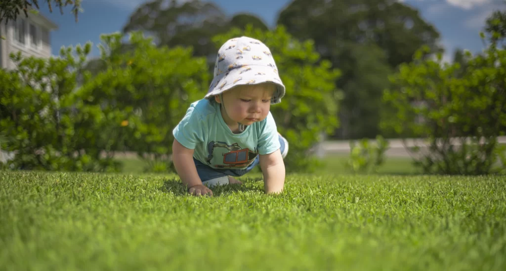 backyard lawn kids