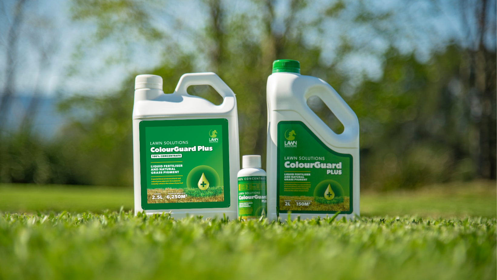 A Pro's Guide to Turf Pigmentation ColourGuard Plus Lawn Solutions Australia