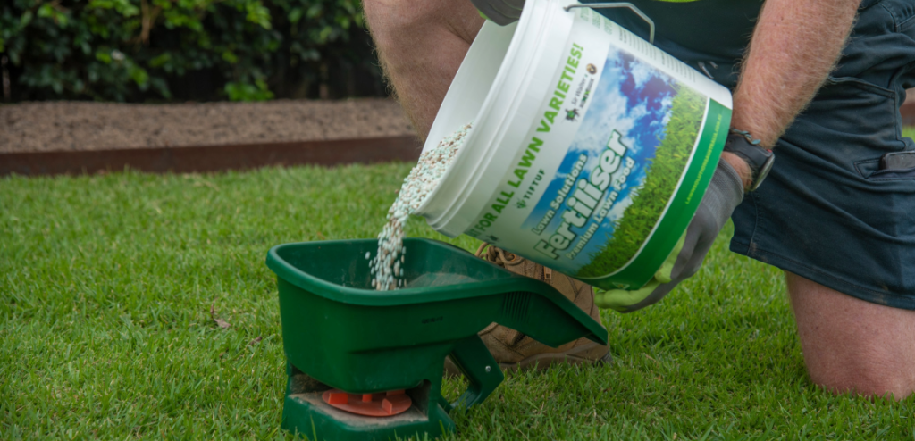 best lawn fertiliser