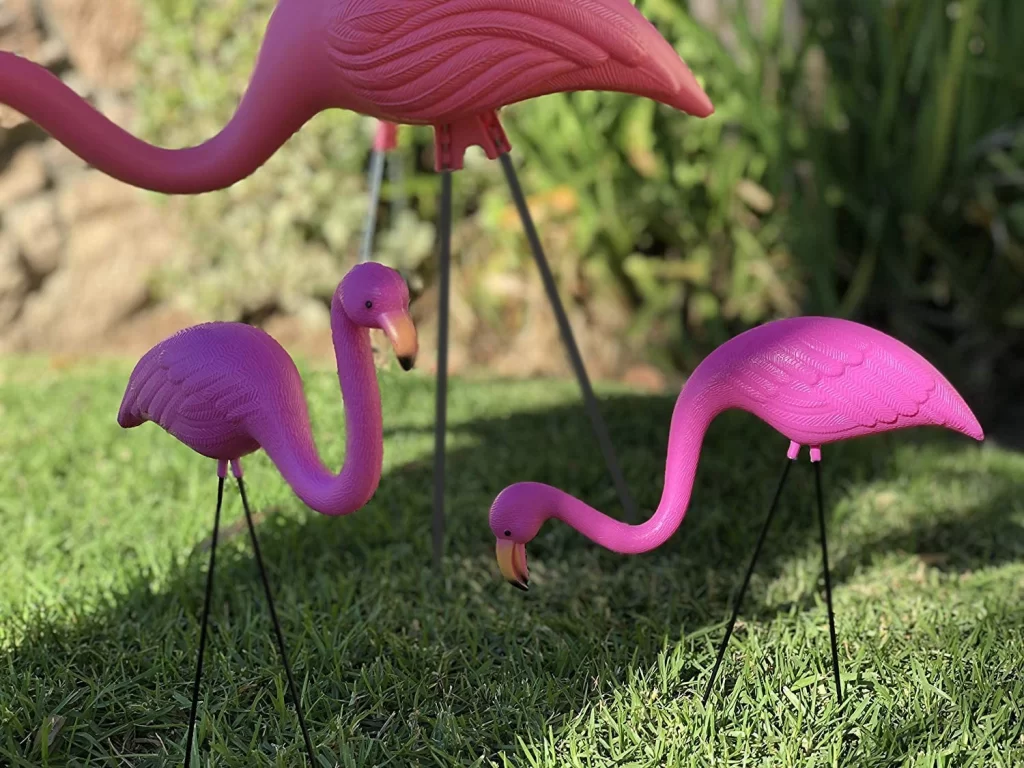 pink flamingo on lawn