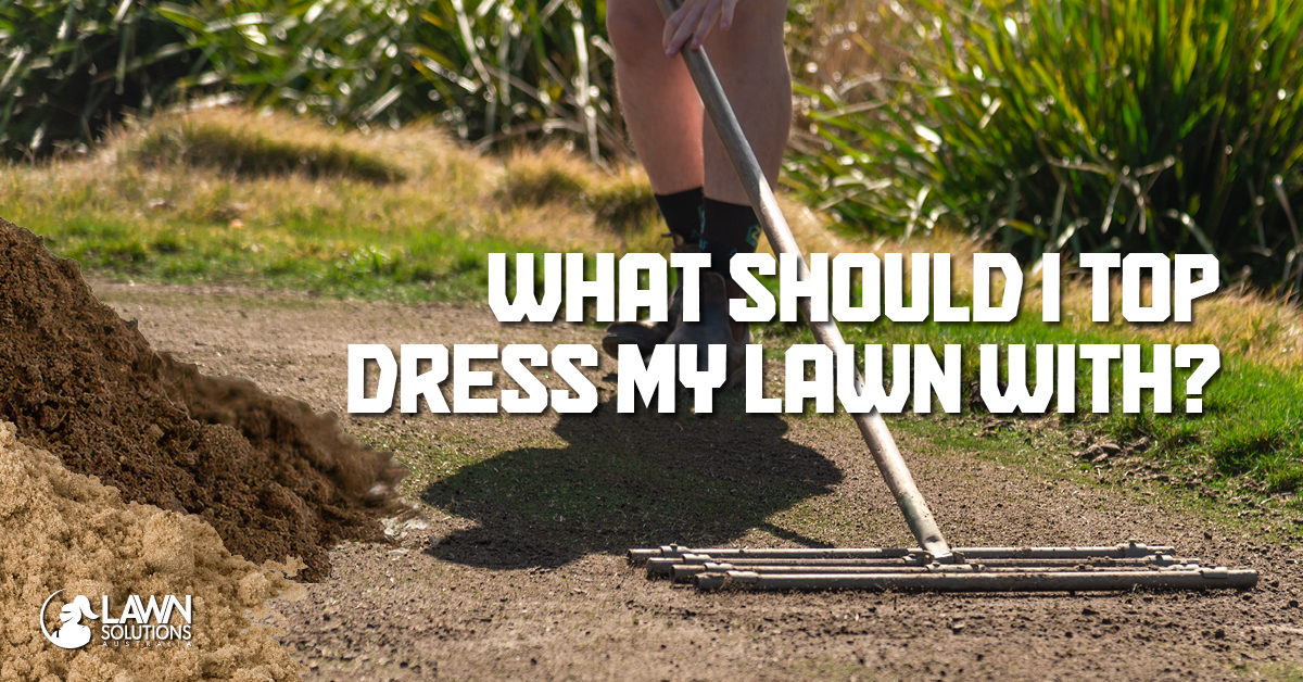 What should I top dress my lawn with?