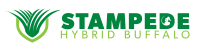 stampede hybrid buffalo logo small