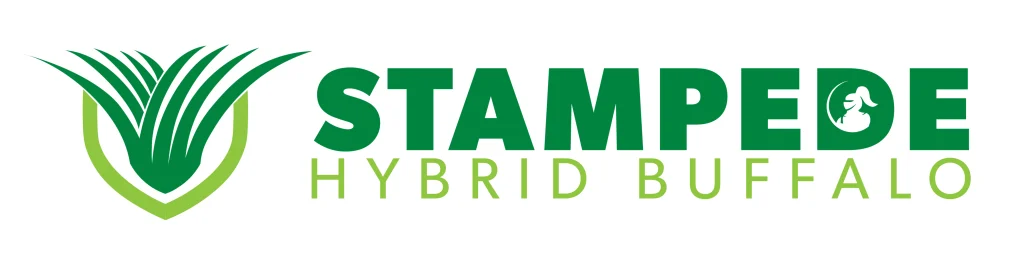 stampede hybrid buffalo logo