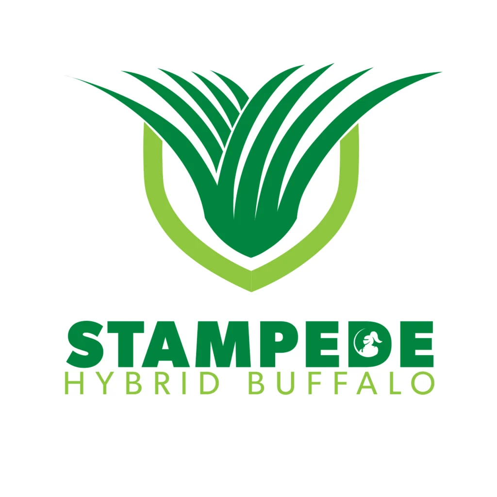 stampede hybrid buffalo logo