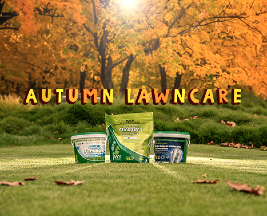 What Should I Top Dress My Lawn With Lawn Solutions Australia What Should I Top Dress My Lawn With Lawn Solutions Australia