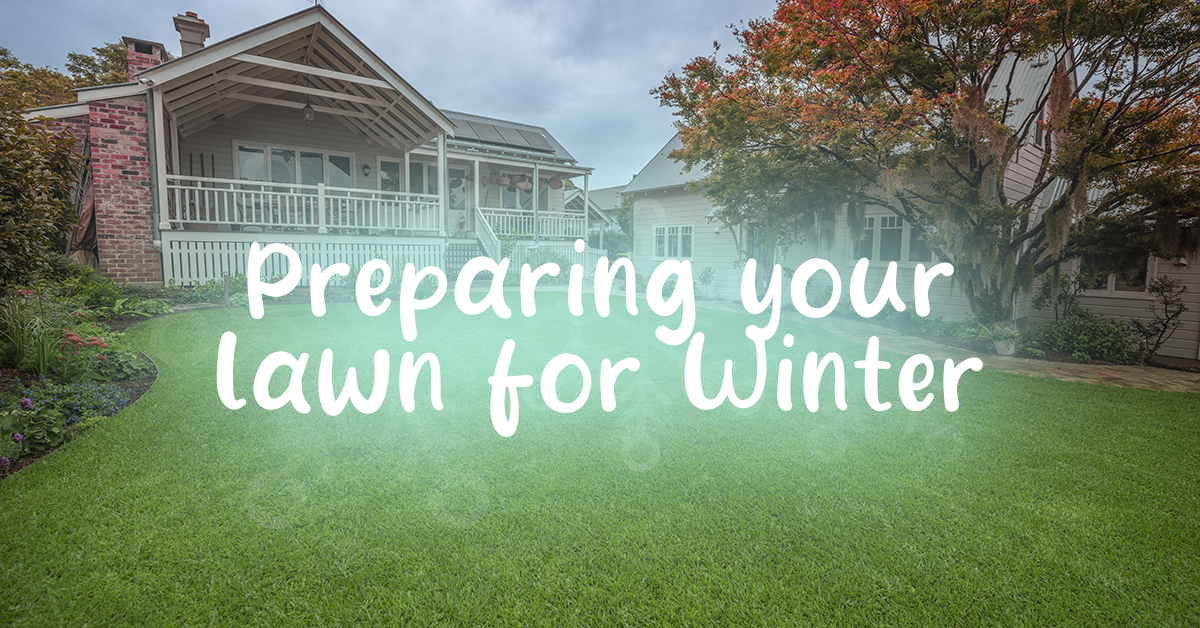 How to Prepare Your Lawn for Winter - Lawn Solutions Australia