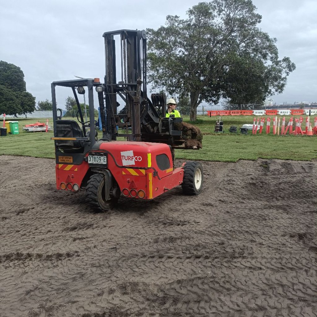 Kurnell zoysia grass