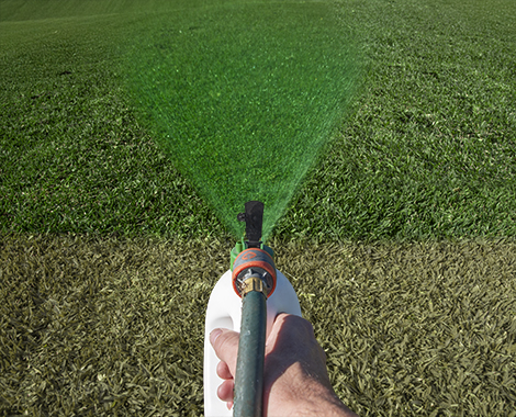 A Pro’s Guide to Turf Pigmentation | ColourGuard Plus